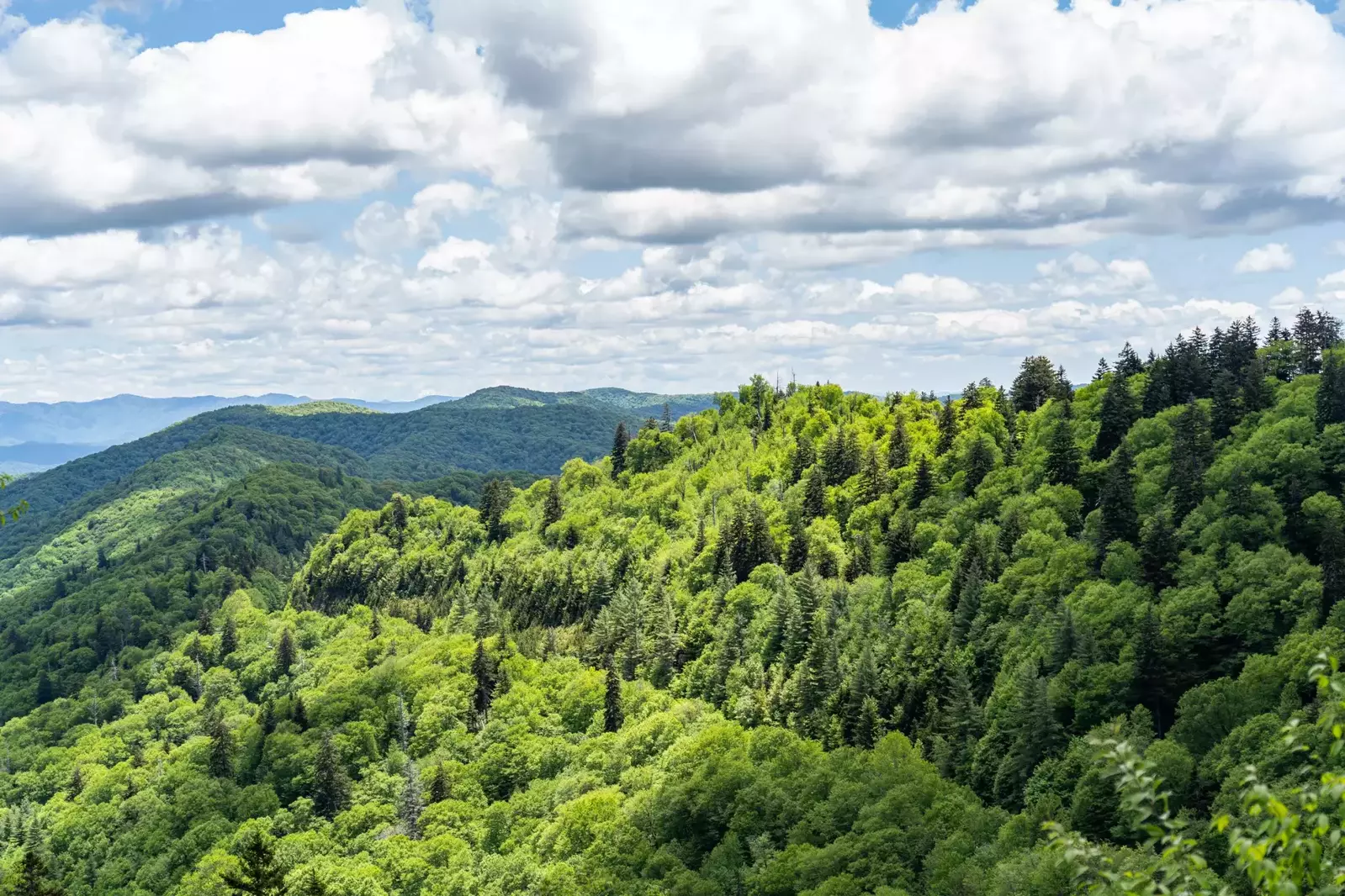 Nature Landscape of the Smokey Mountains called Smokies and dramatic clouds and trees